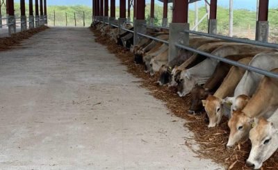 Dairy-Barn-670x450-1